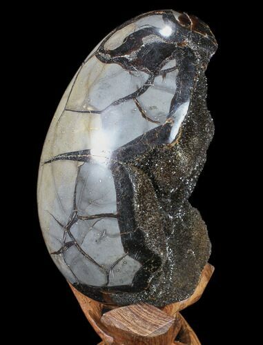 Septarian Dragon Egg Geode - Black Crystals #88163